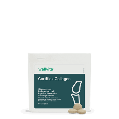 Cartiflex Collagen