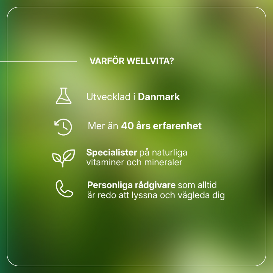 Energo Plus billede 3