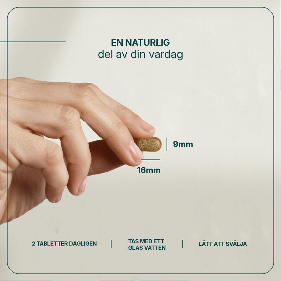 Gestomax billede 4
