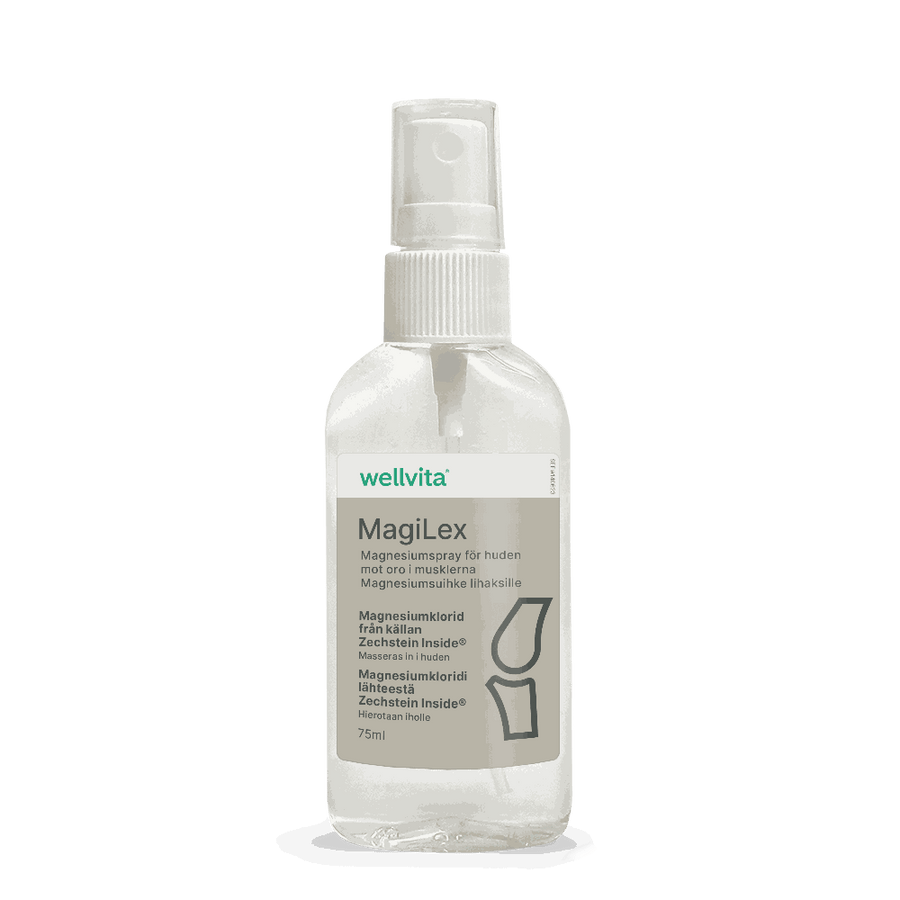 MagiLex billede 1