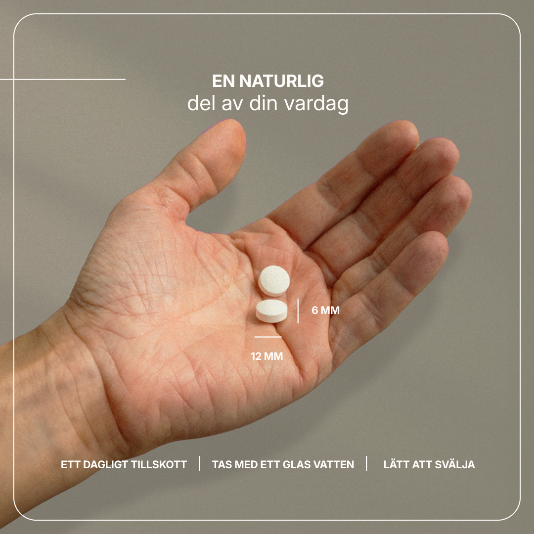 Movizin Complex billede 4