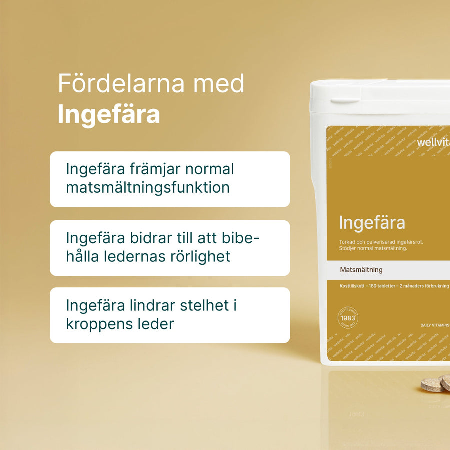 Ingefära billede 2