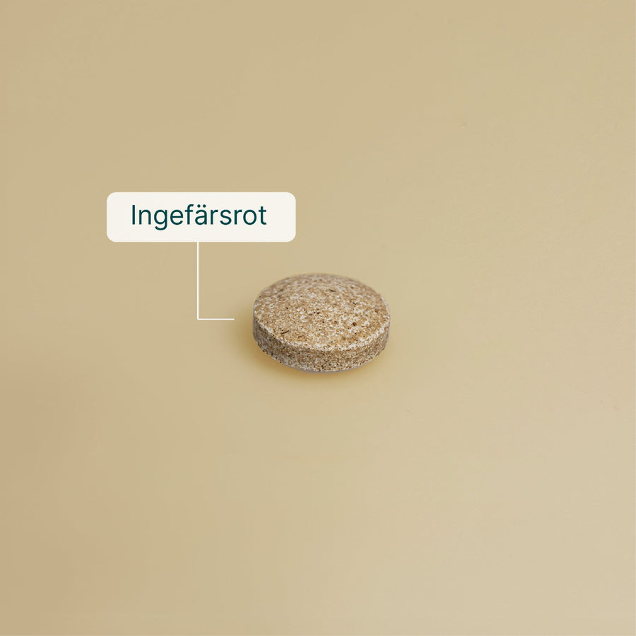 Ingefära billede 5