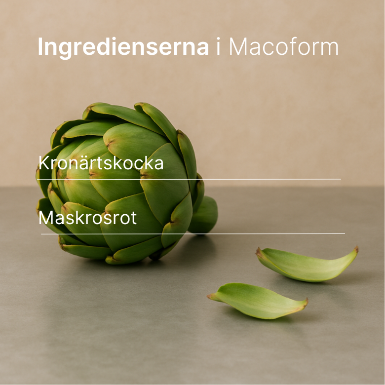 Macoform kosttillskott, 60 tabletter med maskros och kronärtskocka.