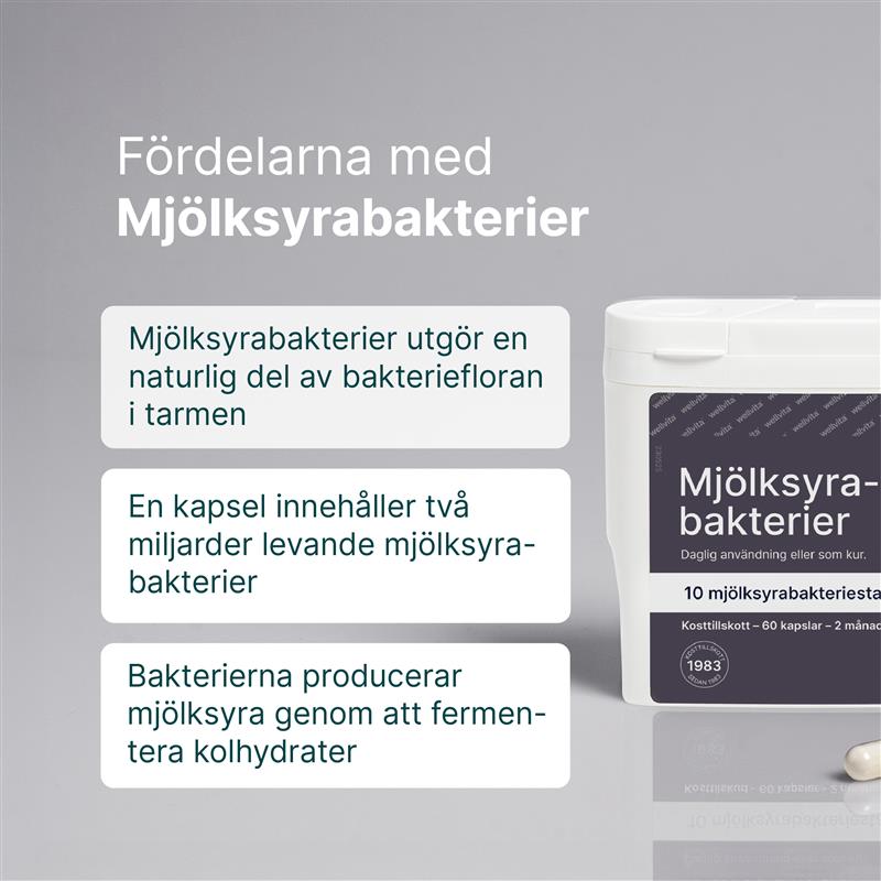 Mjölksyrabakterier billede 2