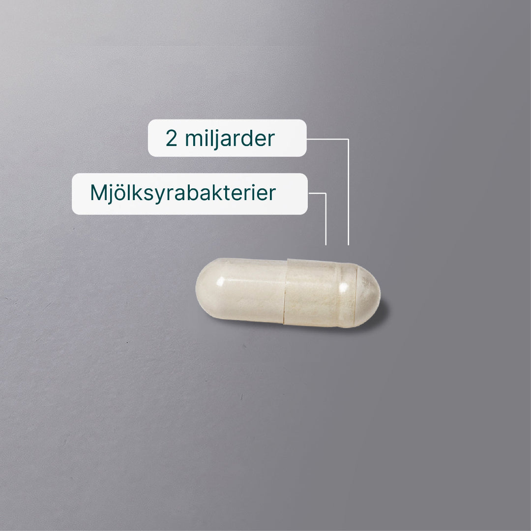 Mjölksyrabakterier billede 5