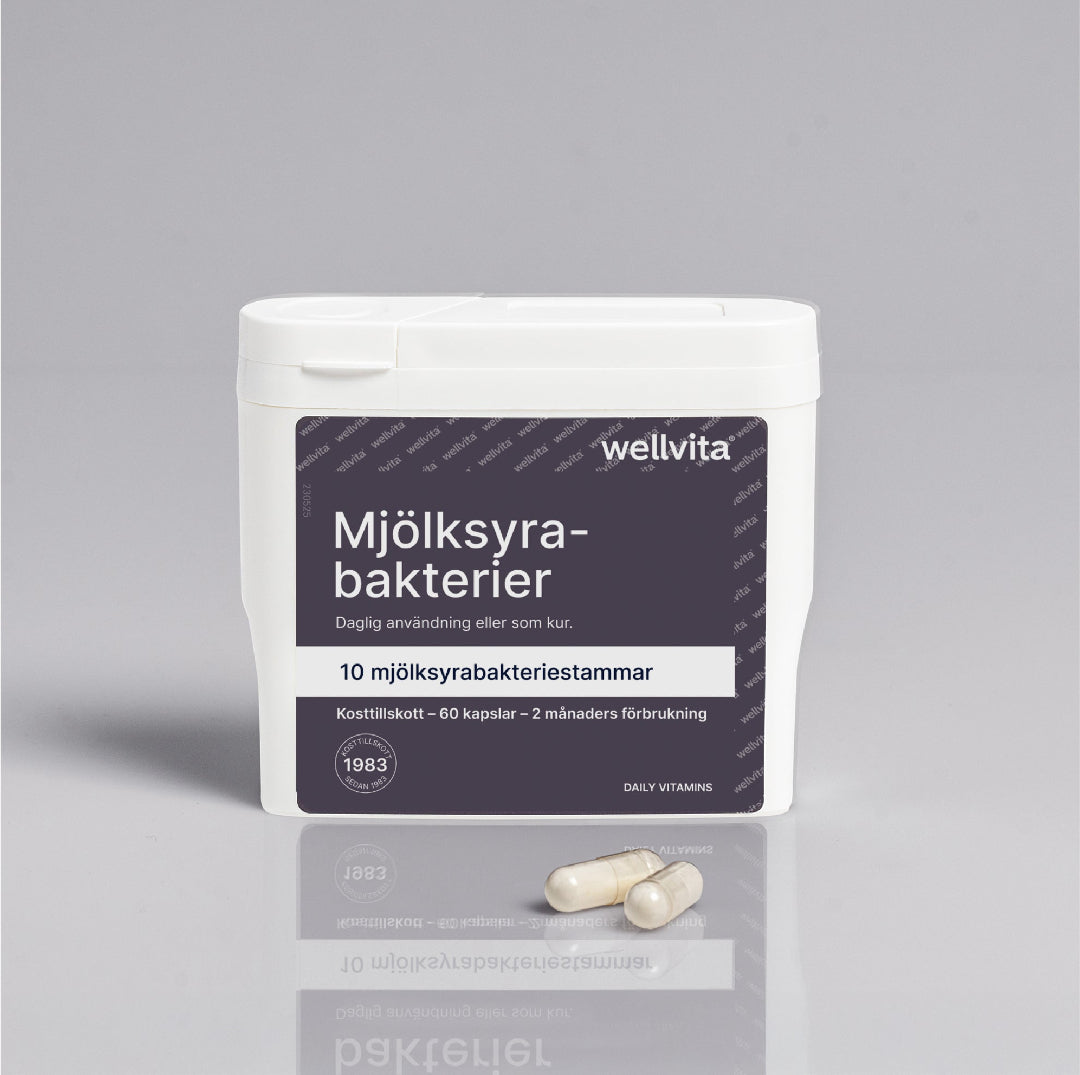 Mjölksyrabakterier billede 1