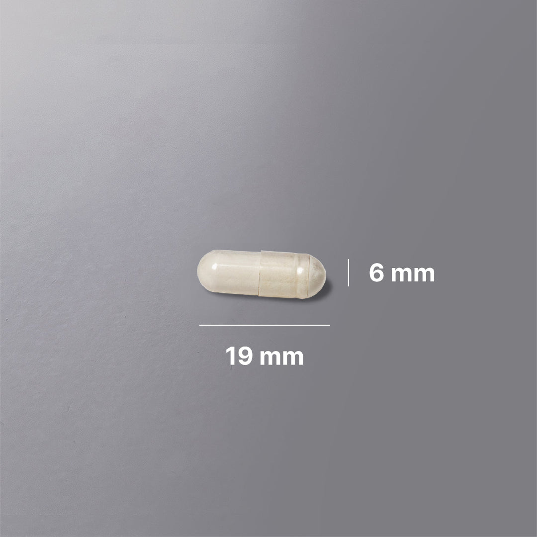 Mjölksyrabakterier billede 4