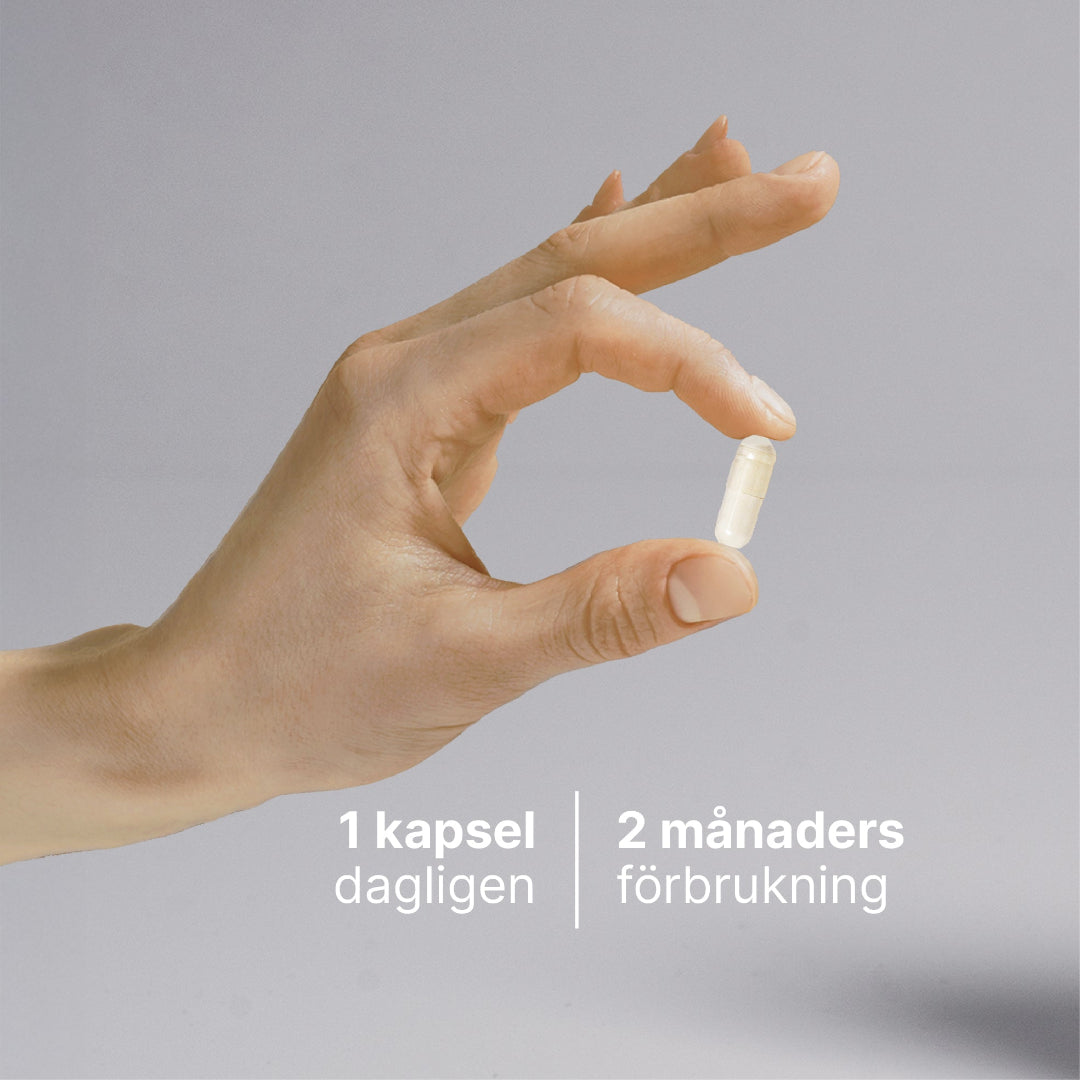 Mjölksyrabakterier billede 3