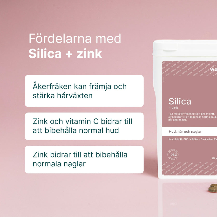 Silica billede 2