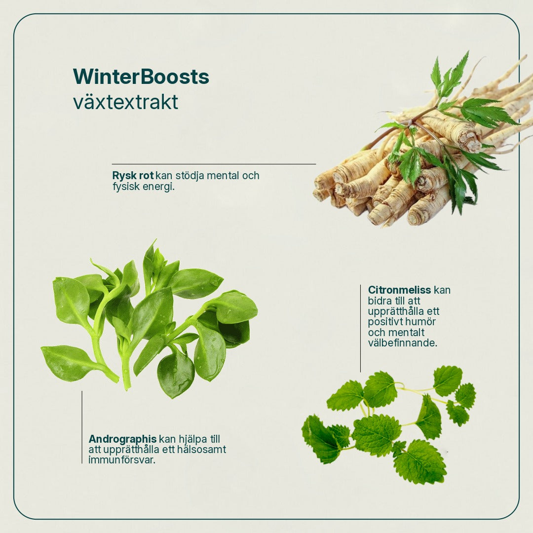 WinterBoost billede 2