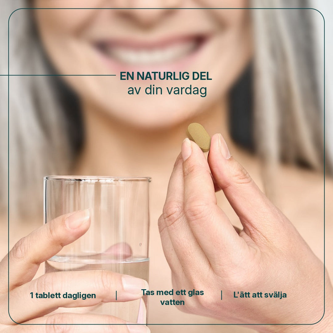 WinterBoost billede 4