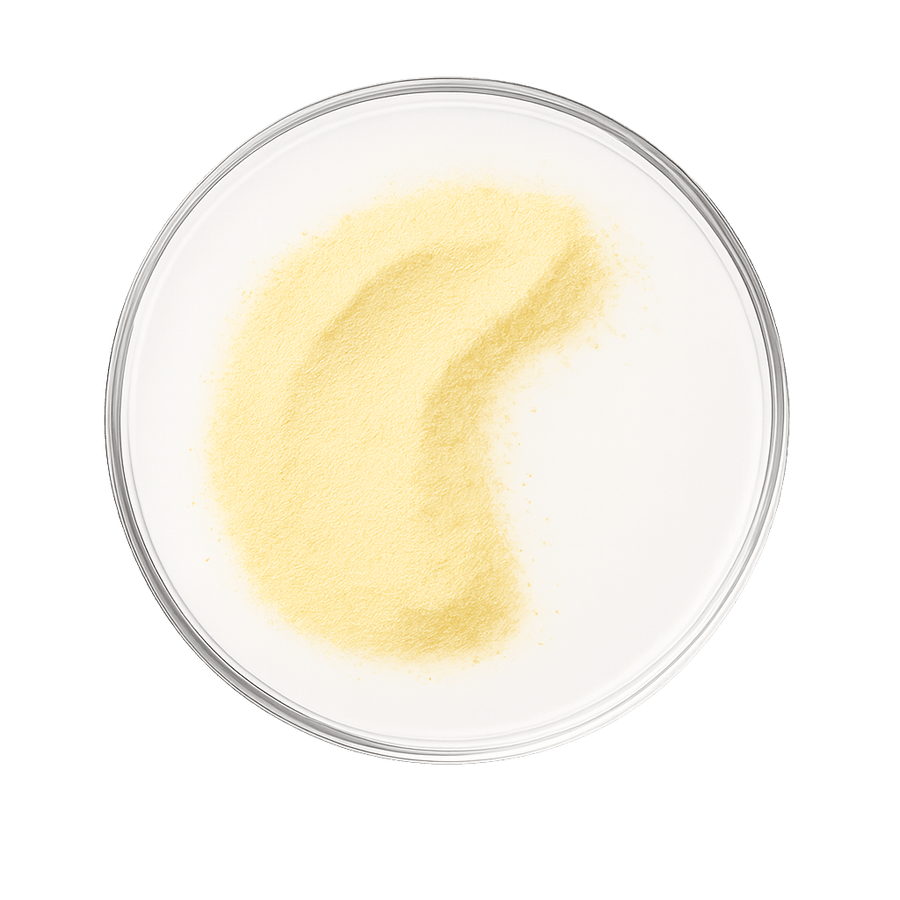 Mega B Complex kosttillskott med 8 B-vitaminer och vitamin C för energi, nervsystem och immunförsvar