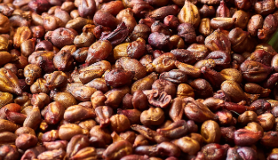 Venolet kosttillskott med rödvinsblad, druvkärnor, tallbark och vitamin C, 60 tabletter för blodcirkulation och hudförbättring.