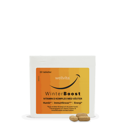 WinterBoost