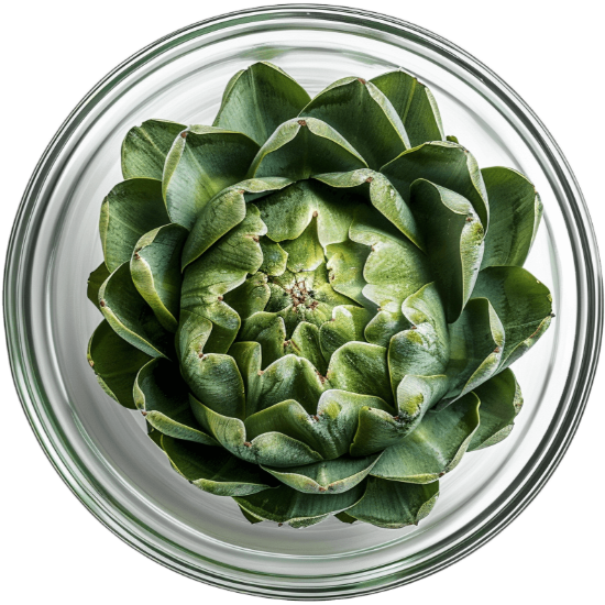 Kosttillskott Macoform Plus, 120 tabletter, mot uppblåsthet med fänkål, kamomill, pepparmynta.