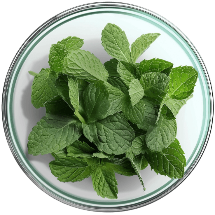 Kosttillskott Macoform Plus, 120 tabletter, mot uppblåsthet med fänkål, kamomill, pepparmynta.